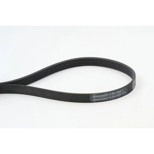 Continental CTAM Multi V-Ribbed Drive Belt 6PK1352
