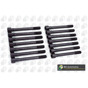 BGA Cylinder Head Bolt Set M12 BK6388
