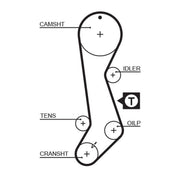 Gates Timing Belt Cambelt 124 Teeth 5358XS