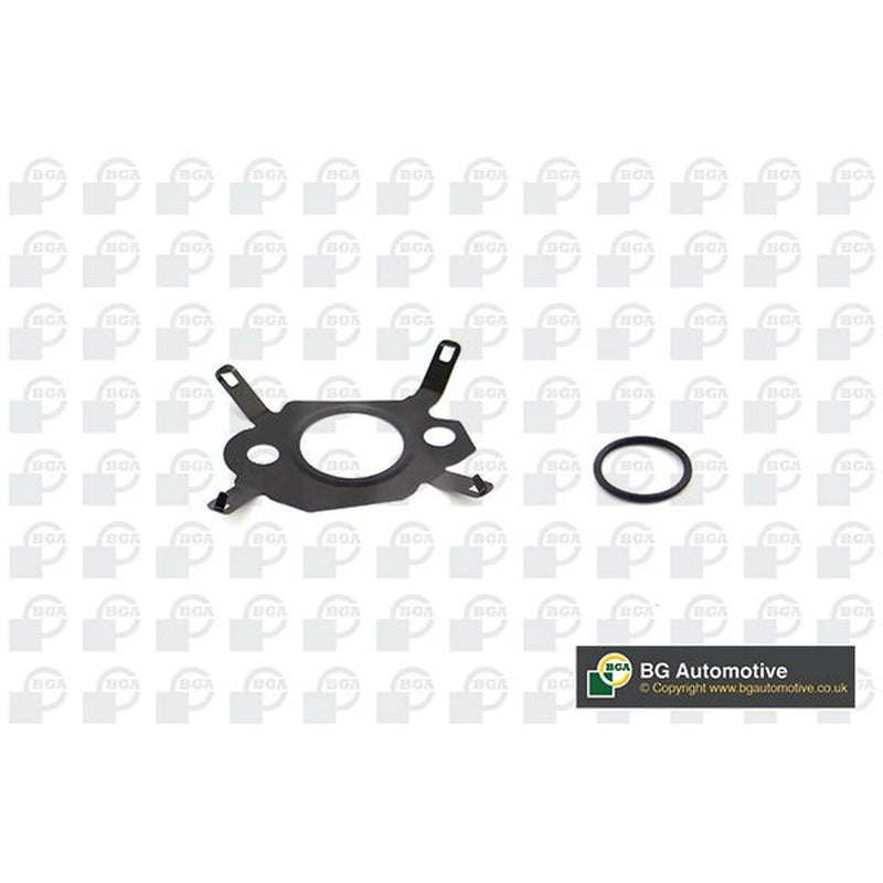 BGA Gasket Set, Egr System AG1444