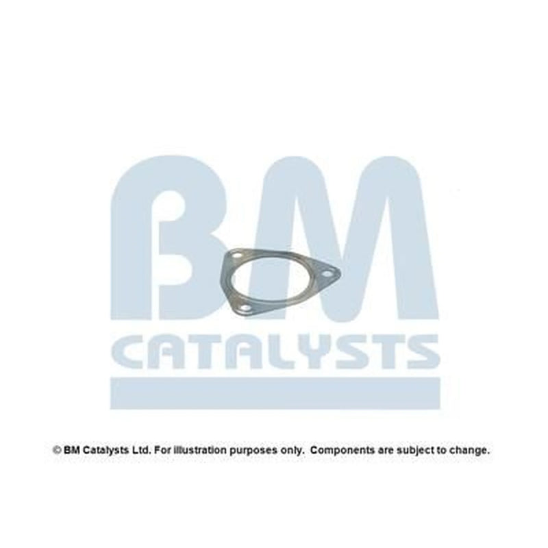 BM Catalysts Fitting Kit FK11181A FK11181A