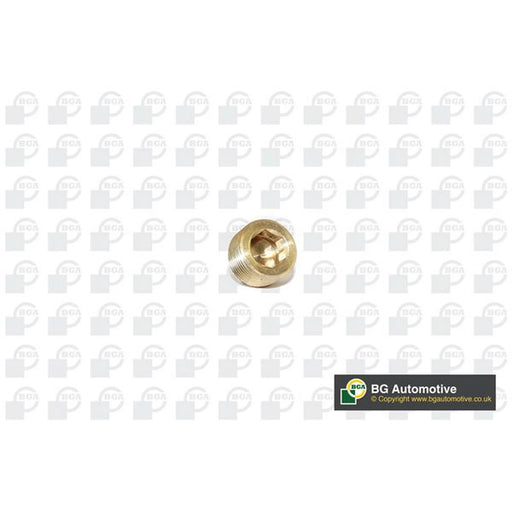 BGA Oil Sump Screw Plug PK2202