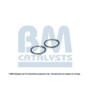 BM Catalysts Fitting Kit FK90262A FK90262A