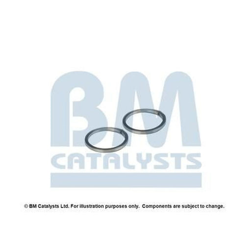 BM Catalysts Fitting Kit FK90485A FK90485A