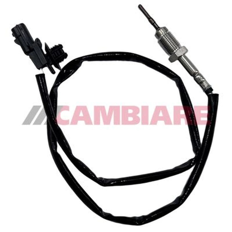 Cambiare Exhaust Gas Temperature Sensor VE390480
