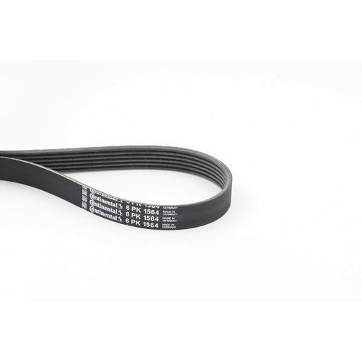 Continental CTAM Multi V-Ribbed Drive Belt 6PK1564