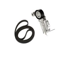 Gates V-Ribbed Belt Set K236PK1183