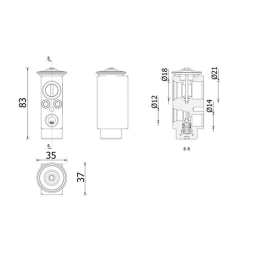 Mahle Air Conditioning Expansion Valve AVE 206 000P