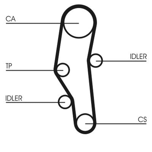 Continental CTAM Timing Belt Cambelt 110 Teeth CT589