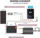 Renogy Rover 12V 30A MPPT Charge Controller - Dyna-mo Solar - Van Life Living