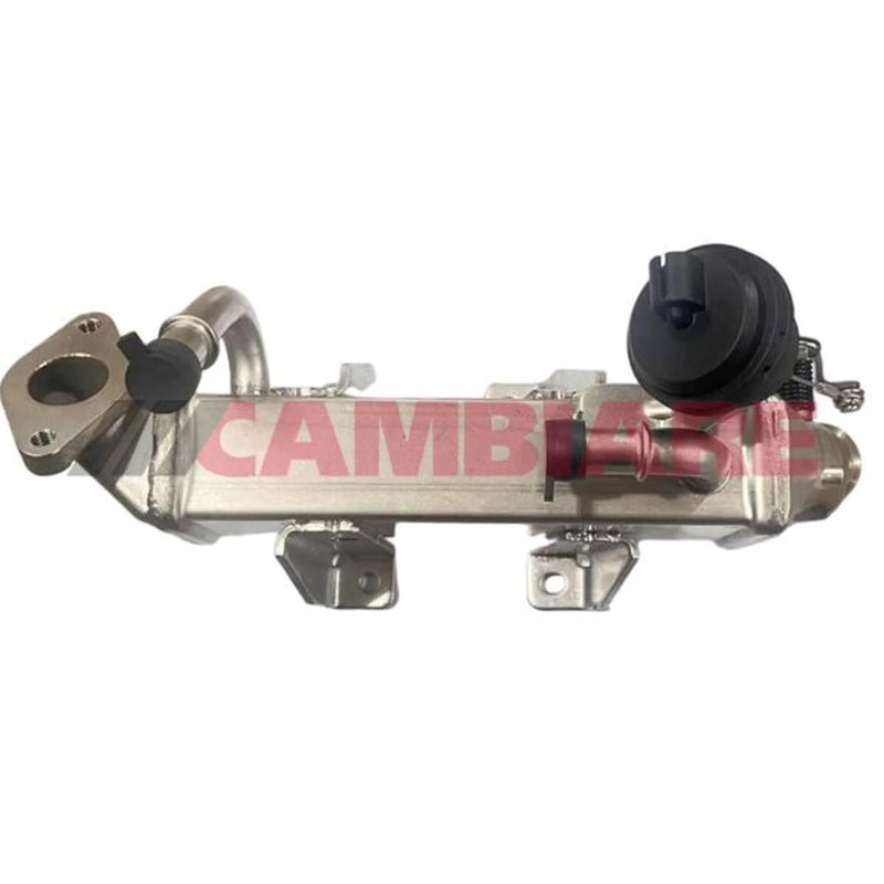 Cambiare EGR Cooler (Exhaust Gas Recirculation) VE360395