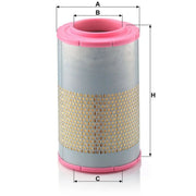 MANN-FILTER Engine Air Filter C 22 478/1