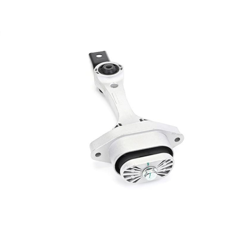 Delphi Engine Mount Mounting Rear TEM260