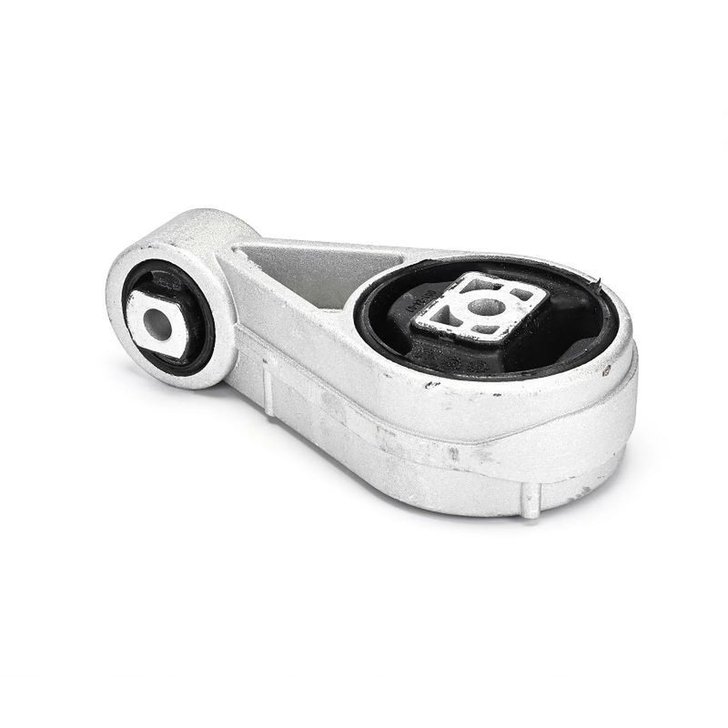 Delphi Engine Mount Mounting Rear TEM297