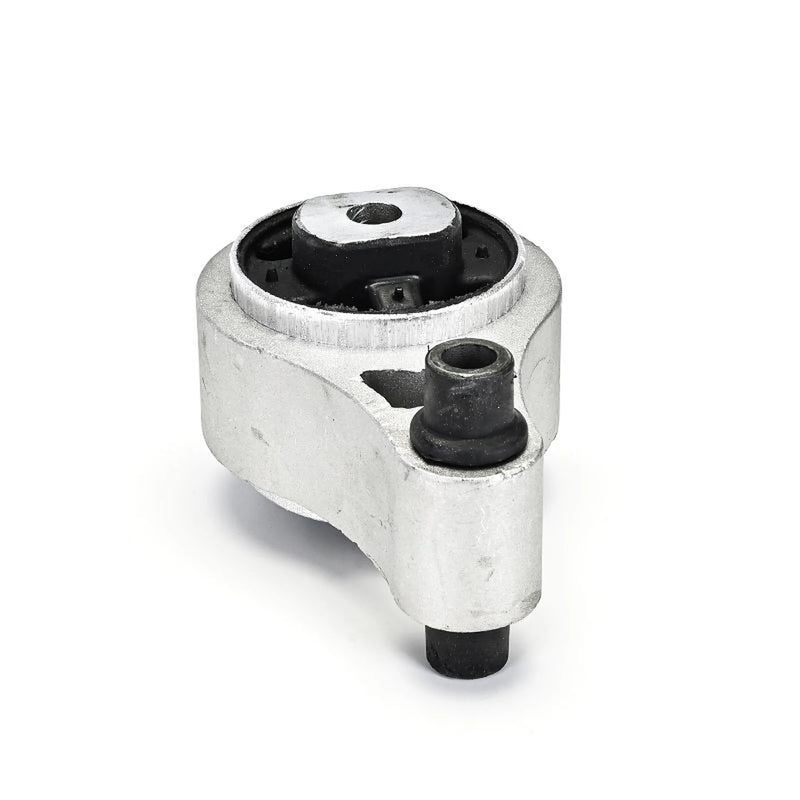 Delphi Engine Mount Mounting Rear TEM126