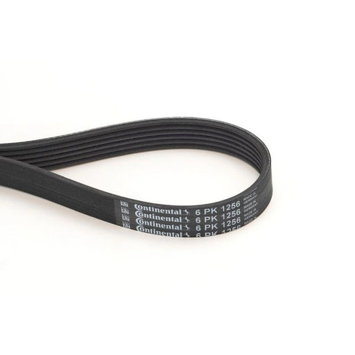 Continental CTAM Multi V-Ribbed Drive Belt 6PK1256