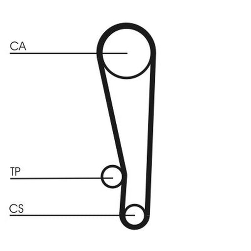 Continental CTAM Timing Belt Cambelt 101 Teeth CT1013