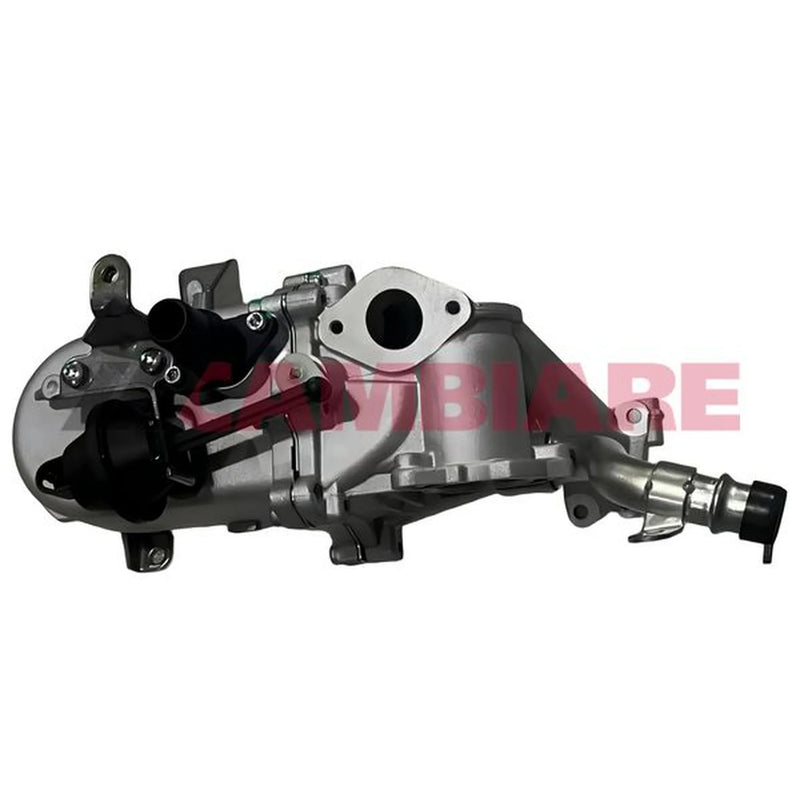 Cambiare EGR Cooler (Exhaust Gas Recirculation) VE360113
