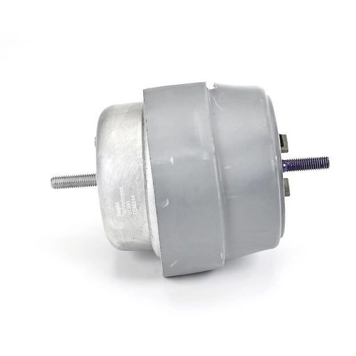 Delphi Engine Mount Mounting Front TEM234