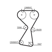 Gates Timing Belt Cambelt 154 Teeth 5534XS