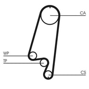 Continental CTAM Timing Belt Cambelt 146 Teeth CT866