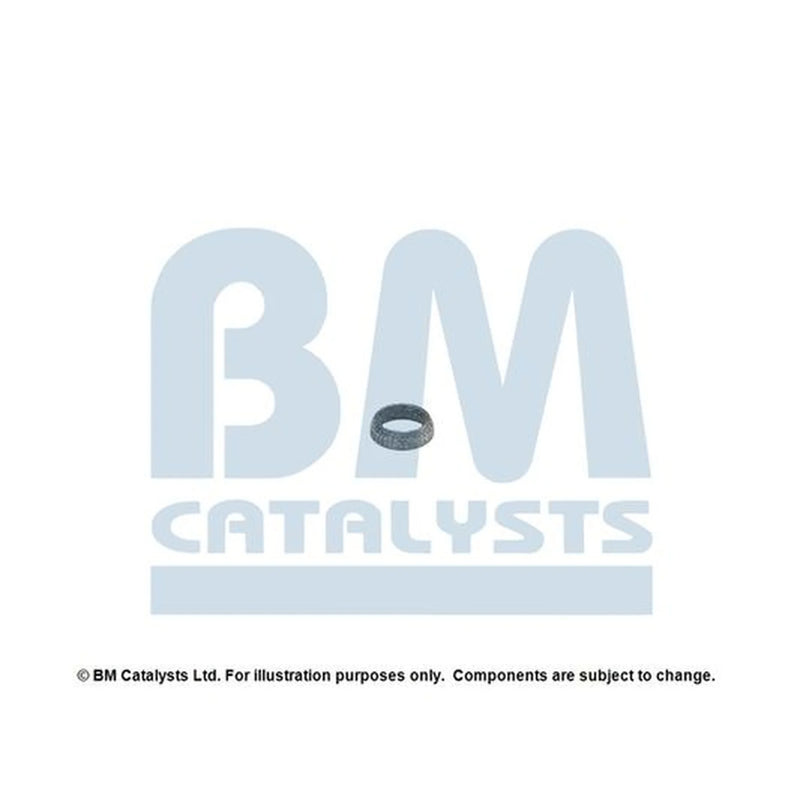 BM Catalysts Exhaust Pipe Mounting Kit FK50871A