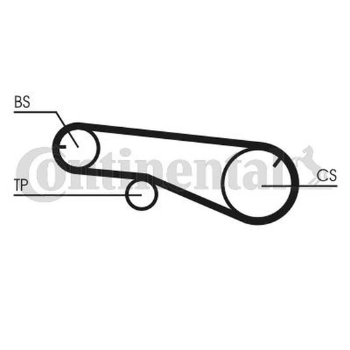 Continental CTAM Timing Belt Cambelt 55 Teeth CT991