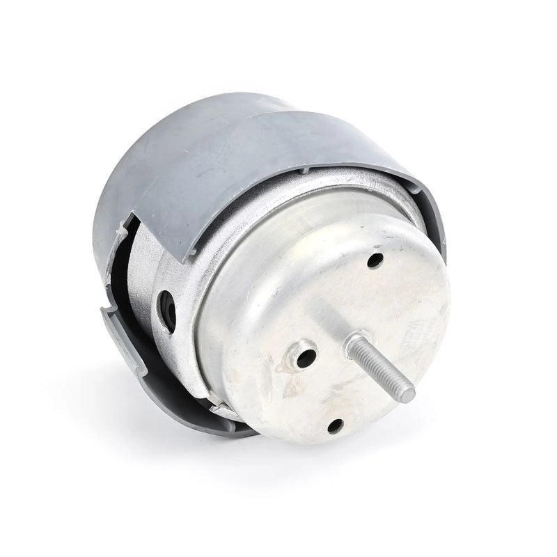 Delphi Engine Mount Mounting Front TEM288