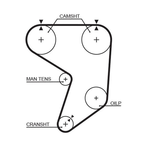 Gates Timing Belt Cambelt 159 Teeth 5195XS