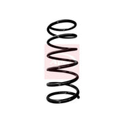 Apec Front Suspension Coil Spring ACS1789