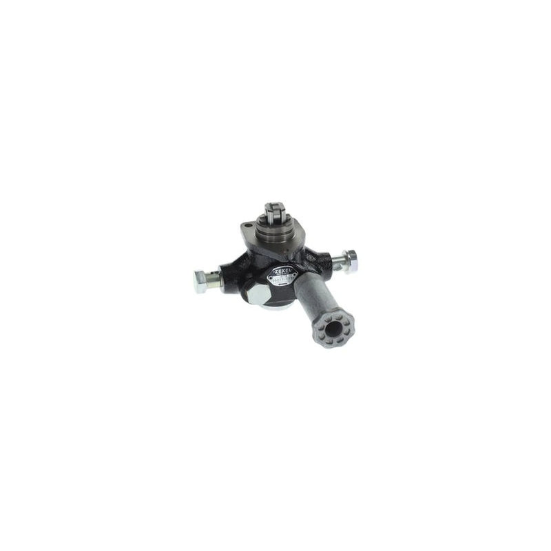 Bosch Fuel Pump Assembly H 105 217 173