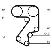 Continental CTAM Timing Belt Cambelt 177 Teeth CT859
