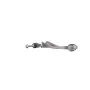 Delphi Control/Trailing Arm Rear TC3563