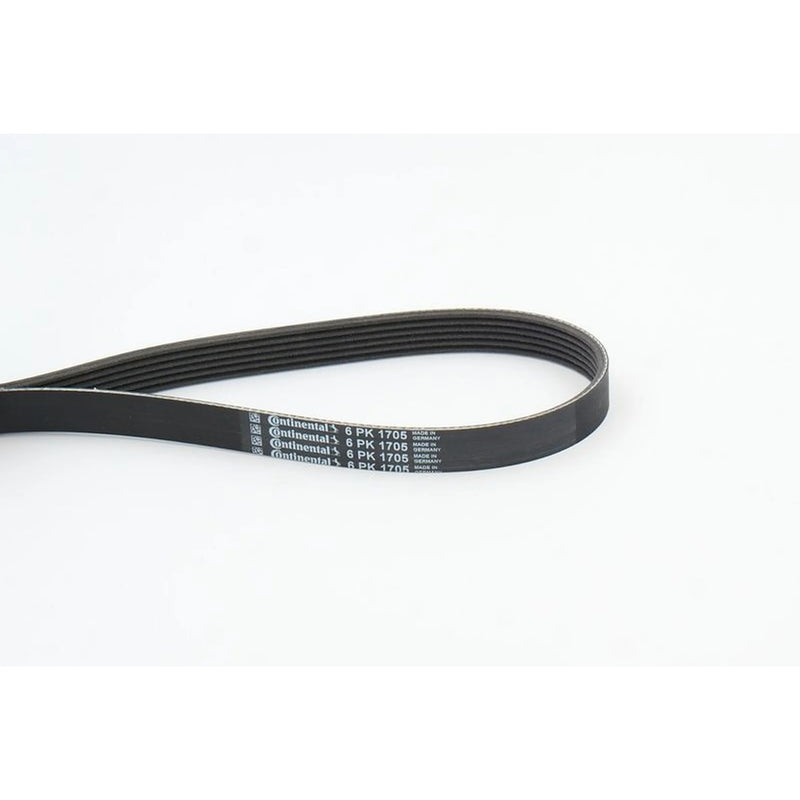 Continental CTAM Multi V-Ribbed Drive Belt 6PK1705