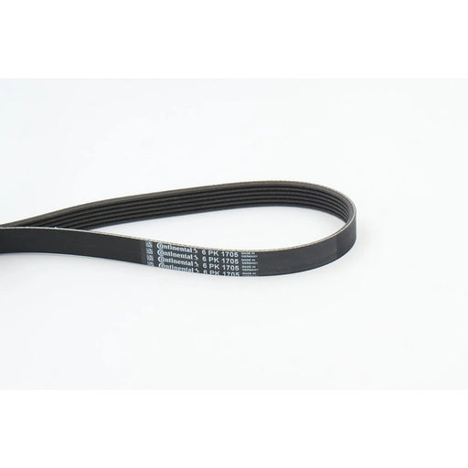 Continental CTAM Multi V-Ribbed Drive Belt 6PK1705