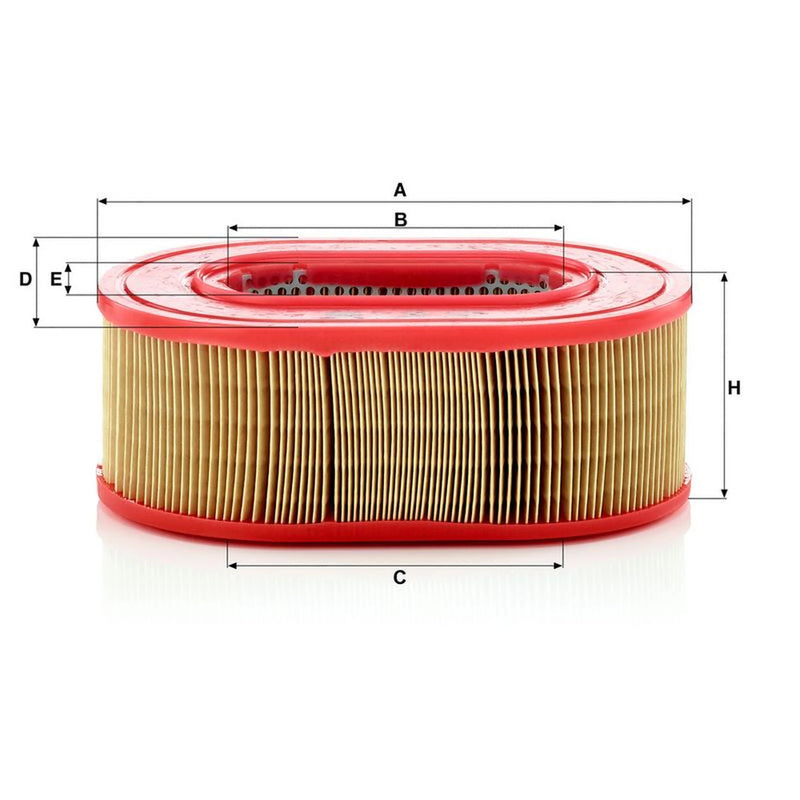 MANN-FILTER Engine Air Filter C 25 124
