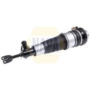 NAPA Air Suspension Strut Shock NAS1160