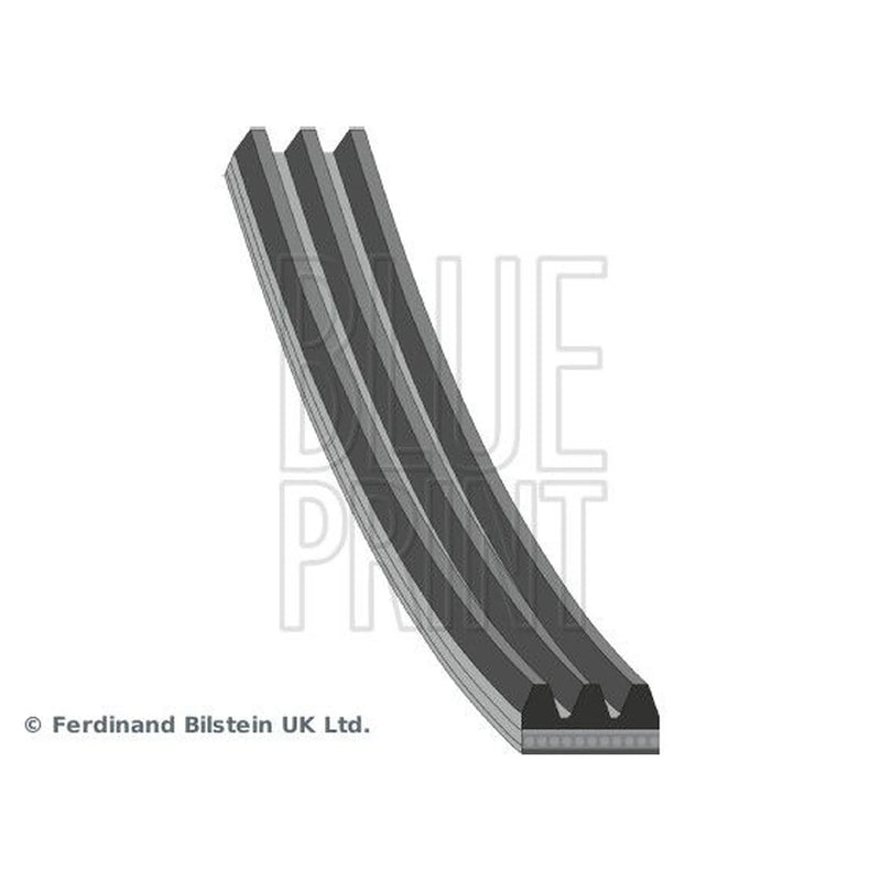 Blue Print Multi V-Ribbed Drive Belt AD03R735