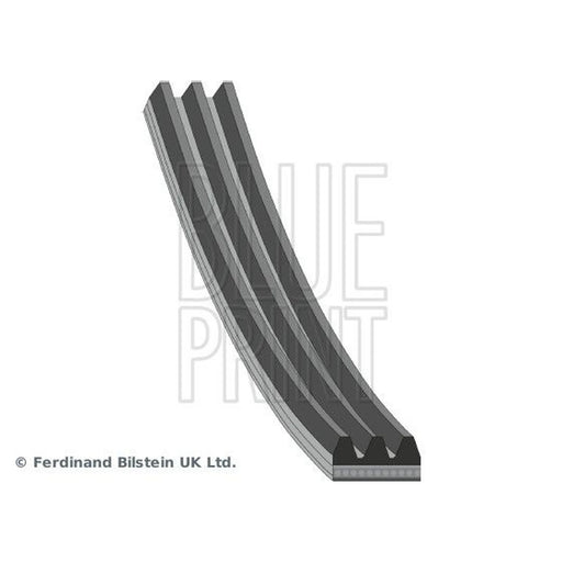 Blue Print Multi V-Ribbed Drive Belt AD03R735