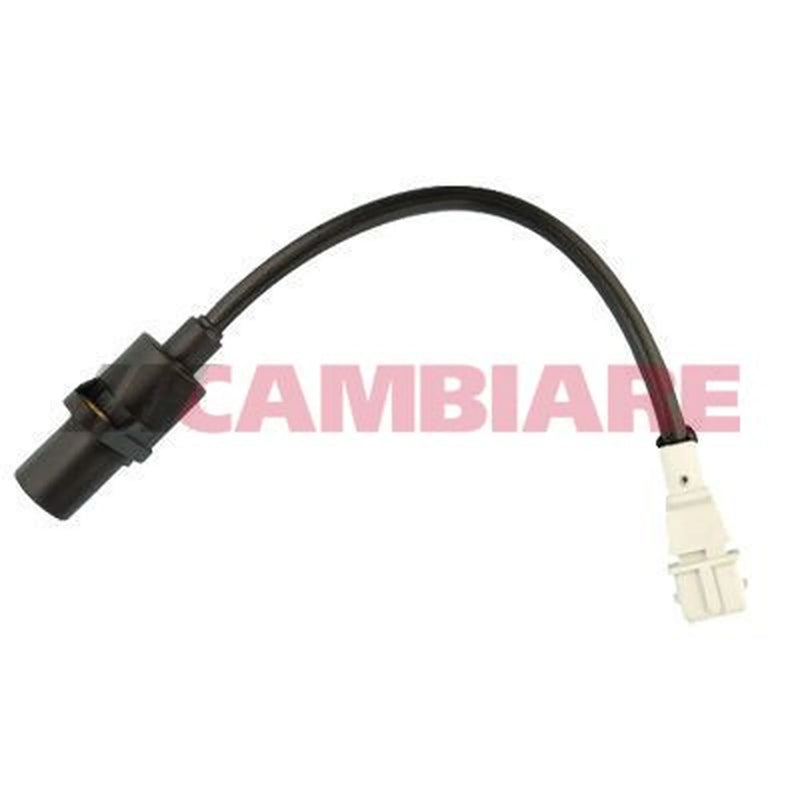 Cambiare Crankshaft Position Sensor VE363065