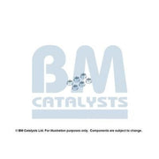 BM Catalysts Fitting Kit FK80517B FK80517B