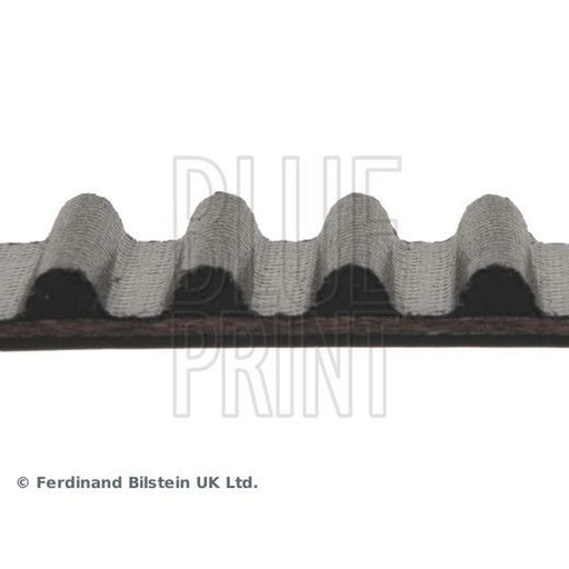 Blue Print Timing Belt Cambelt 112 Teeth ADA107504