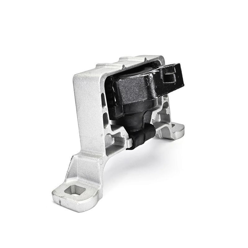 Delphi Engine Mount Mounting Left TEM265