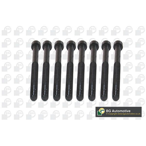 BGA Cylinder Head Bolt Set M11 BK5916