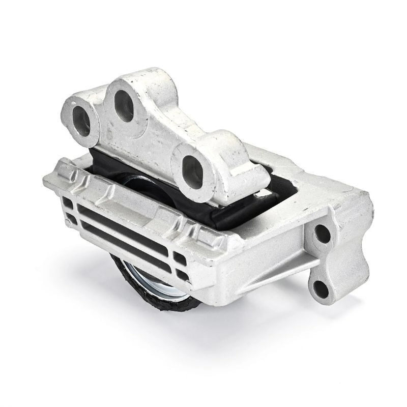 Delphi Engine Mount Mounting Right TEM133