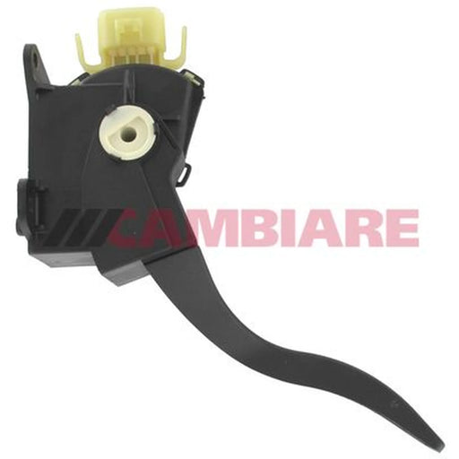 Cambiare Accelerator Pedal Position Sensor VE378052