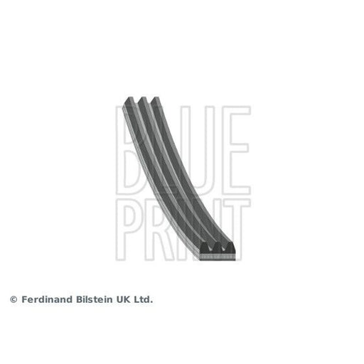 Blue Print Multi V-Ribbed Drive Belt AD03R963
