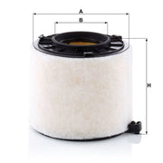 MANN-FILTER Engine Air Filter C 17 010
