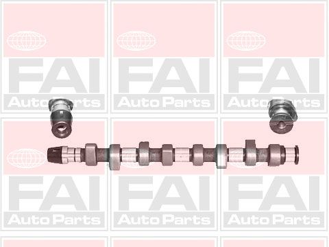 Fai Engine Camshaft Lobes C305