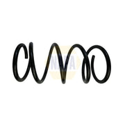 NAPA Rear Suspension Coil Spring NCS1919